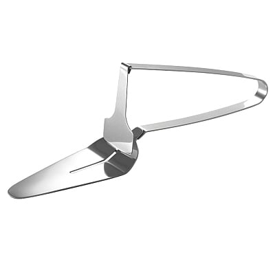 Eppicotispai Cake server stainless steel