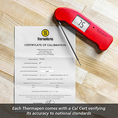 Thermapen One Thermometer Red
