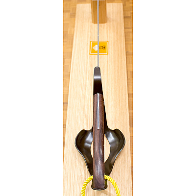 Laguiole Champagne Saber Palo Santo