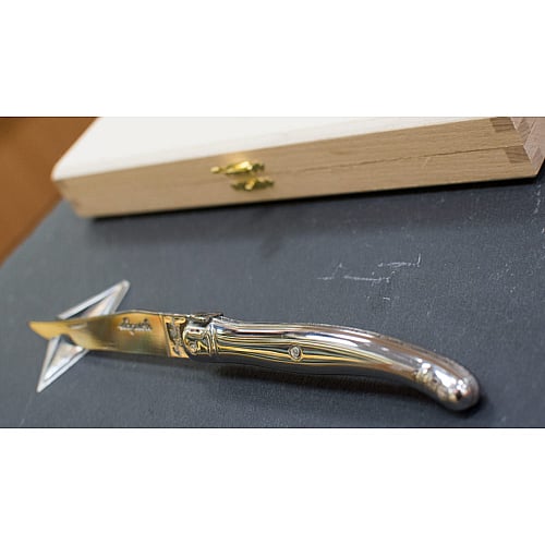 laguiole steakmessen jean dubost rvs