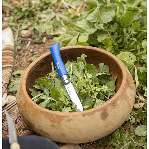 opinel zakmes afgerond no. 7 roestvrij blauw