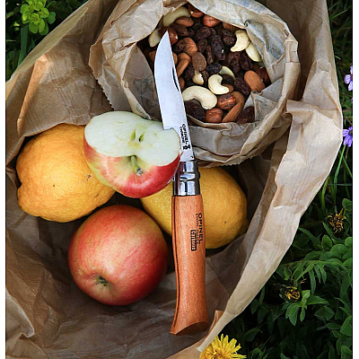 Opinel Zakmes no. 9 Carbon