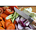 opinel zakmes no. 12 roestvrij