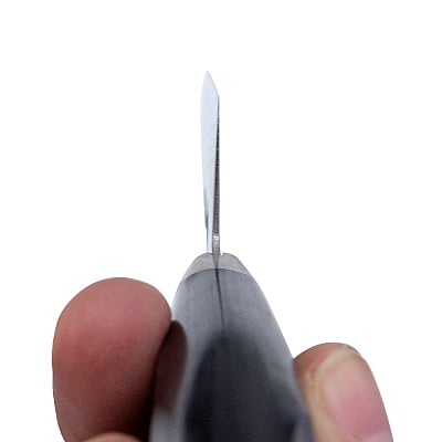 Sakai Takayuki Mirrored Gyuto 21 cm