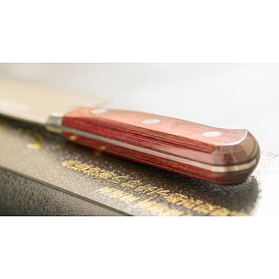 Takamura Migaki R2 Santoku 17 cm