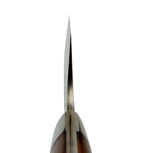 Takeshi Saji Rainbow Bunka Ironwood