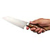 Takeshi Saji Rainbow Bunka Ironwood