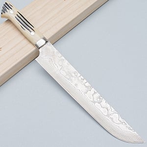 Takeshi Saji SG2 Diamond Damast Staghorn Sakimaru 24 cm