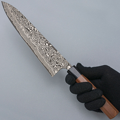Takeshi Saji SG2 Nickel Damast Gyuto 24 cm 