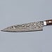 Takeshi Saji SG2 Nickel Damast Ironwood Gyuto 21 cm