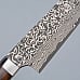 Takeshi Saji SG2 Nickel Damast Ironwood Gyuto 21 cm