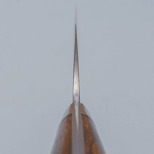 Takeshi Saji SG2 Nickel Damast Ironwood Gyuto 21 cm