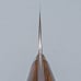 Takeshi Saji SG2 Nickel Damast Ironwood Gyuto 21 cm