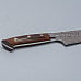 Takeshi Saji SG2 Nickel Damast Ironwood Gyuto 21 cm