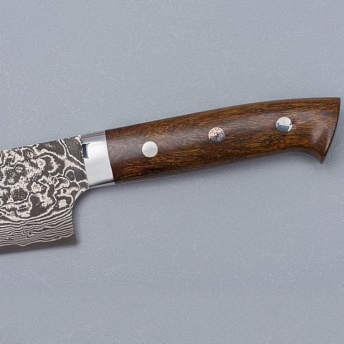 Takeshi Saji SG2 Nickel Damast Ironwood Gyuto 21 cm