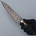 Takeshi Saji SG2 Nickel Damast Ironwood Gyuto 21 cm