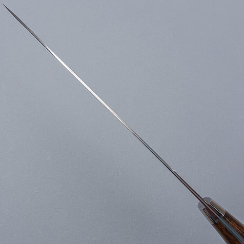Takeshi Saji SG2 Nickel Damast Ironwood Gyuto 21 cm