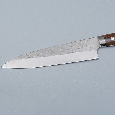 Takeshi Saji SRS13 Ironwood Gyuto 21 cm 