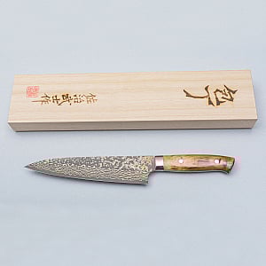 Takeshi Saji VG10 Rainbow Etched Cowhorn Gyuto 18 cm