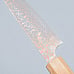 Takeshi Saji Rainbow VG10 Petty 13 cm