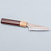 Takeshi Saji Rainbow VG10 Petty 9 cm