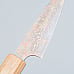 Takeshi Saji Rainbow VG10 Petty 9 cm