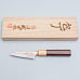 Takeshi Saji Rainbow VG10 Petty 9 cm