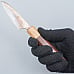 Takeshi Saji Rainbow VG10 Petty 9 cm