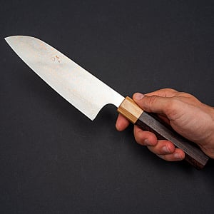 Takeshi Saji Rainbow VG10 Santoku