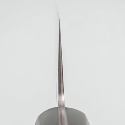 Tsunehisa SLD Migaki Red Gyuto 21 cm