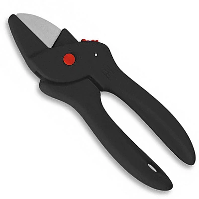 PAUL Bloemenschaar Zwart