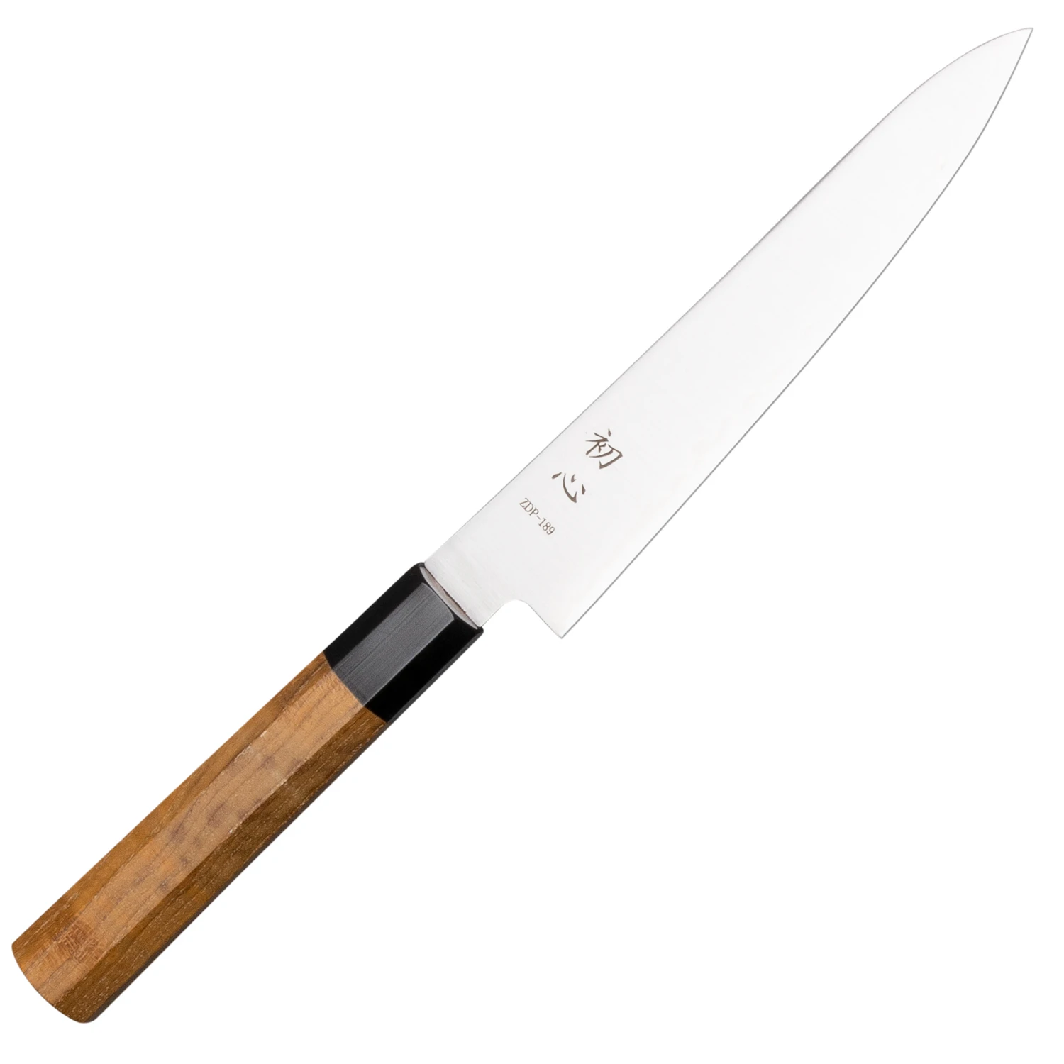 Hatsukokoro-Hayabusa-ZDP189-