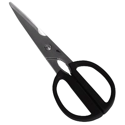 Kai Michel BRAS Schaar