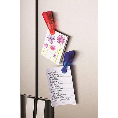 KitchenCraft Magnetic Freshness Clips