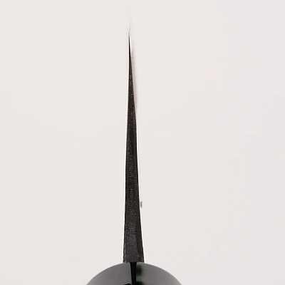 Kyohei Aogami Funayuki 17 cm