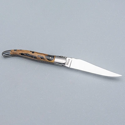 Laguiole en Aubrac Zakmes Cactus 12 cm