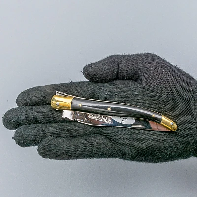 Laguiole en Aubrac Zakmes Hoorn Zwart 12 cm