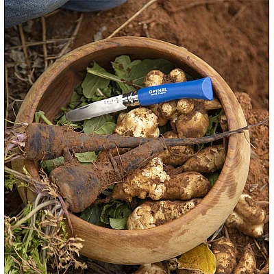 Opinel Zakmes Afgerond no. 7 Roestvrij Blauw