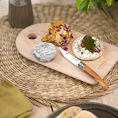 Opinel Zakmes Plumier Effilé 10 Olivier + etui