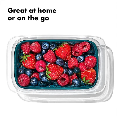 Oxo Lunchbox Prep & Go Fruitbakje 400 ml