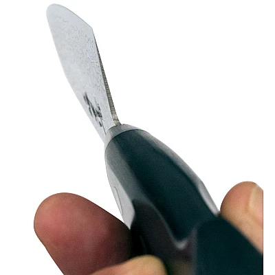 Sakai Takayuki Mirrored Santoku 17 cm