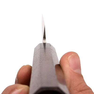 Shibata Kotetsu Yanagiba 24 cm