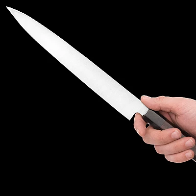 Shibata Kotetsu Yanagiba 24 cm