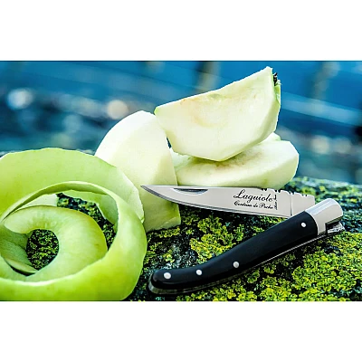 Laguiole Style de Vie Zakmes met Ebbenhout