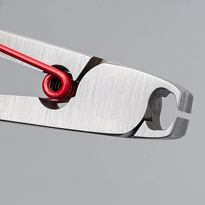 Suwada Japanese Nail Clippers Petit Red + Case Gift Set