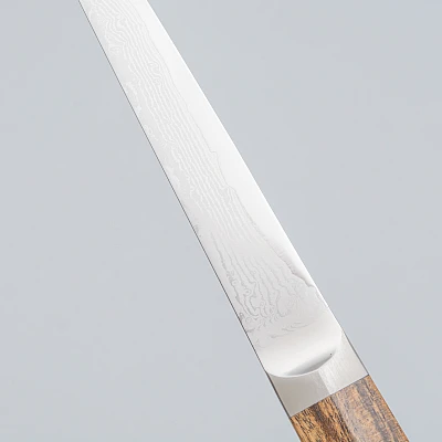 Tojiro Wakisashi Bocote Steakmes 